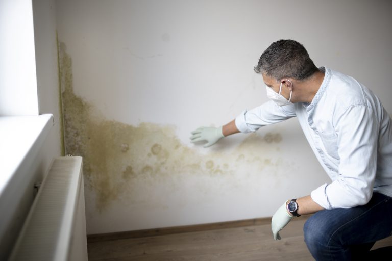 damp and mould prevention oxford